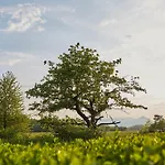 Les Prés D'ondine Hotel 3*