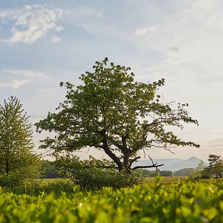 Les Pres D'ondine Hotel 3*