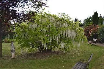 Les Pres D'ondine 3*