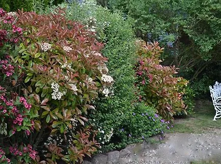 Hotel Les Pres D'ondine 3*