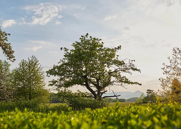 Les Pres D'ondine Hotel 3*