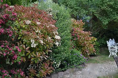 Hotel Les Pres D'ondine 3*